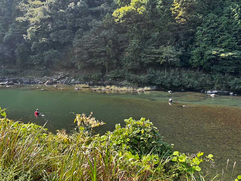 2025�N�A���ނ���